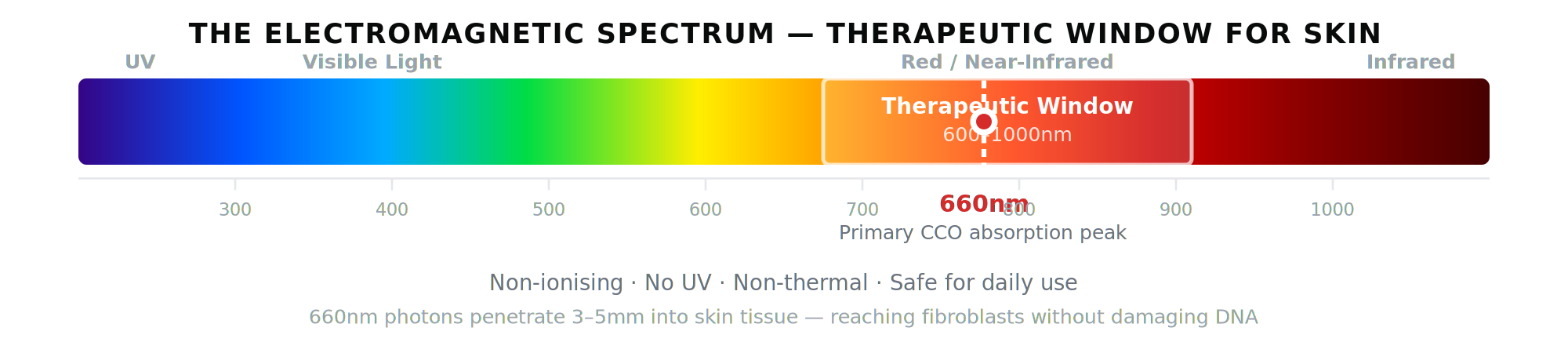 EM spectrum showing the 660nm therapeutic window for skin
